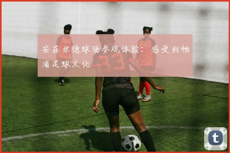 安菲尔德球场参观体验：感受利物浦足球文化